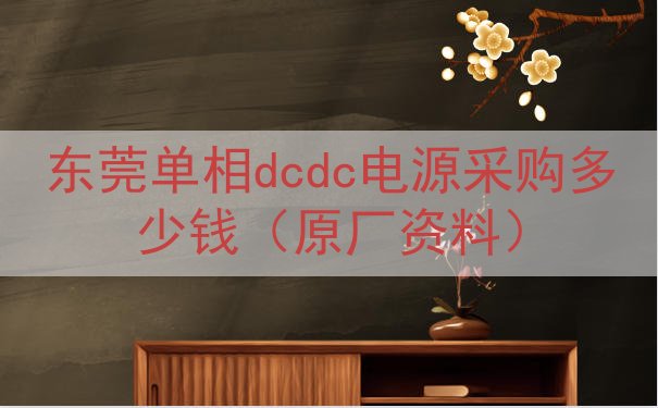东莞单相dcdc电源采购多少钱（原厂资料）